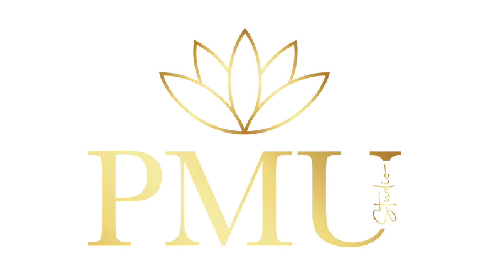 PMU-01